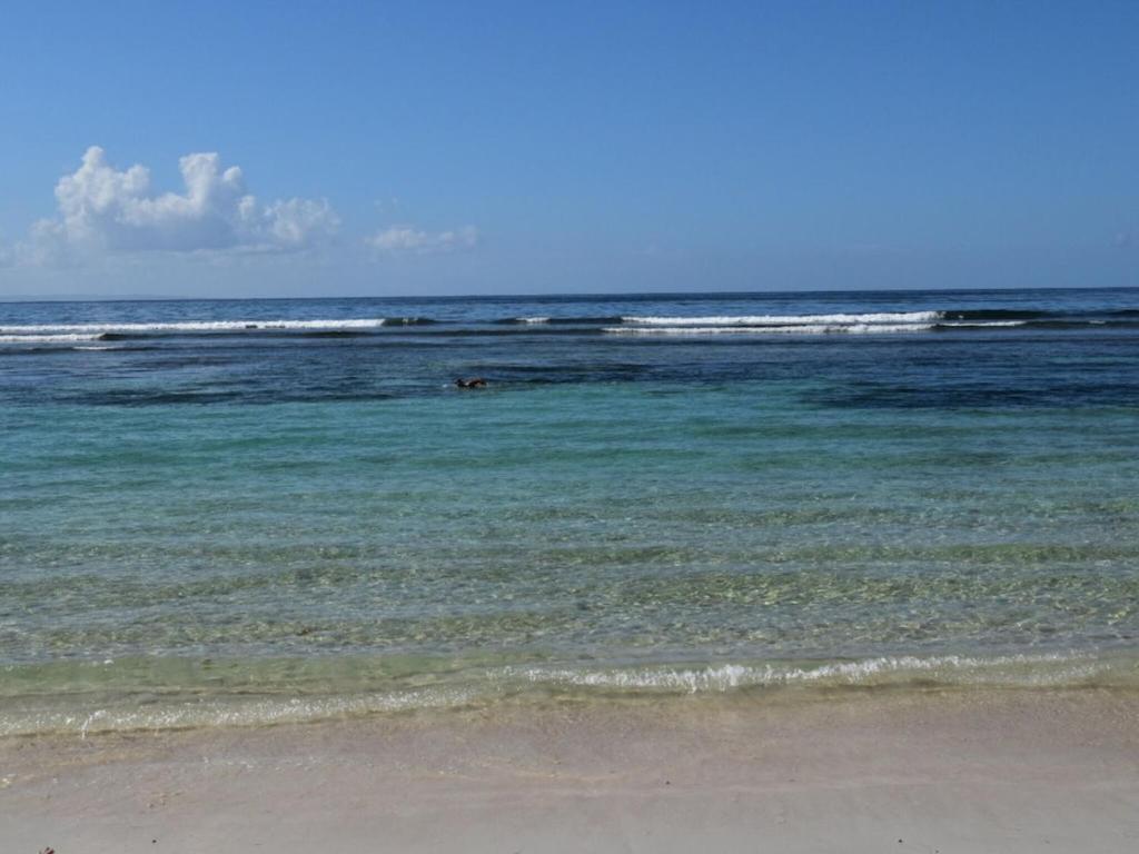 Studio Village Vacances,Vue Mer, Plage A 30M ,Wifi A Sainte Anne Exterior foto