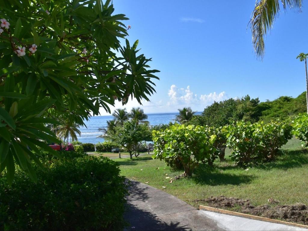 Studio Village Vacances,Vue Mer, Plage A 30M ,Wifi A Sainte Anne Exterior foto