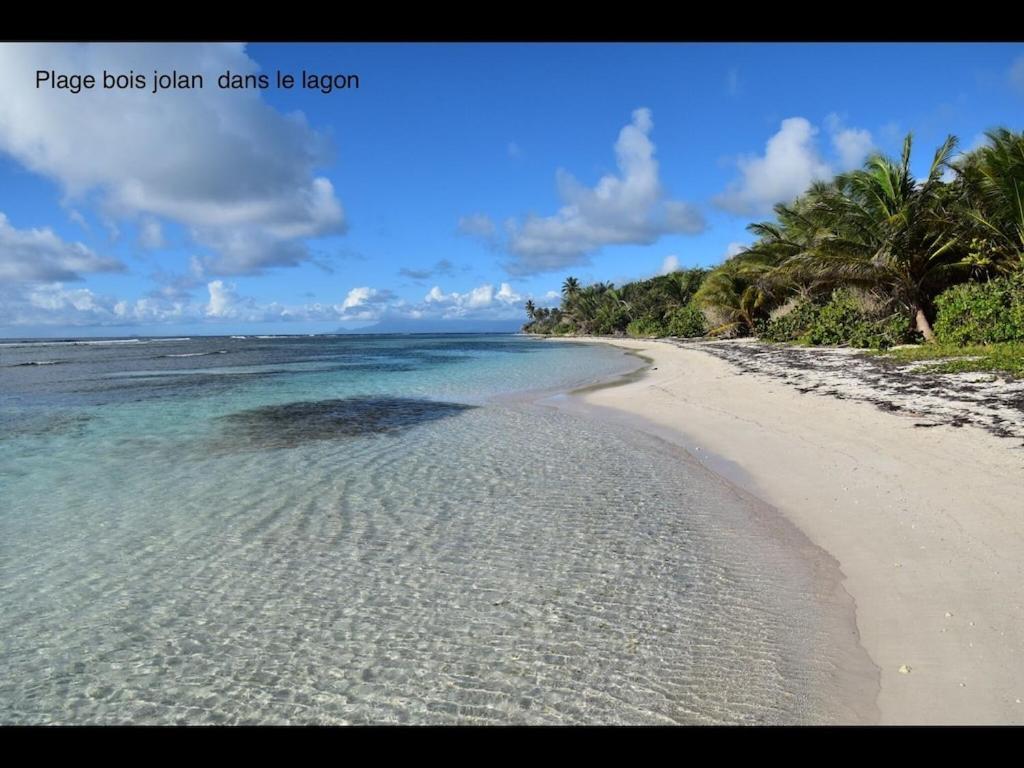 Studio Village Vacances,Vue Mer, Plage A 30M ,Wifi A Sainte Anne Exterior foto