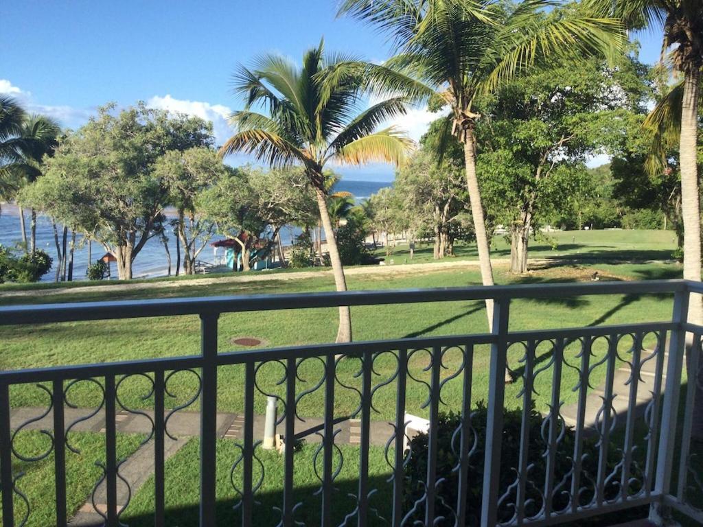 Studio Village Vacances,Vue Mer, Plage A 30M ,Wifi A Sainte Anne Exterior foto
